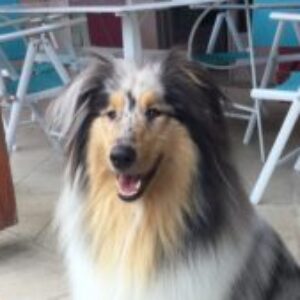 Photo de Profil de fantomette