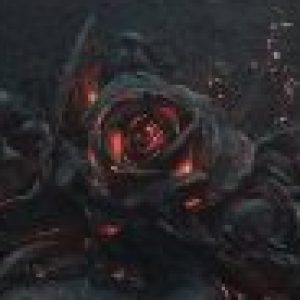 Photo de Profil de tizozo94