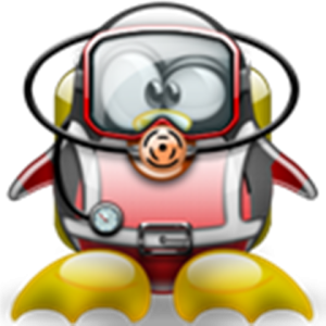 Photo de Profil de divingeek